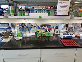 Synthetic Biology Laboratory