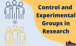Control and Experimental Groups